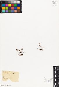 SW_BNB_s3010-08338_IMG-0000000001