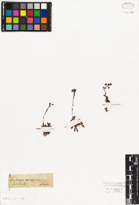 SW_BNB_s3010-08339_IMG-0000000001