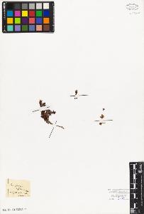 SW_BNB_s3010-08341_IMG-0000000001
