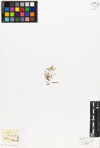 SW_BNB_s3010-08342_IMG-0000000001