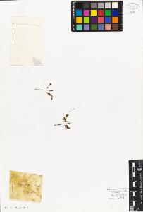 SW_BNB_s3010-08344_IMG-0000000001