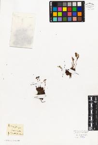 SW_BNB_s3010-08345_IMG-0000000001