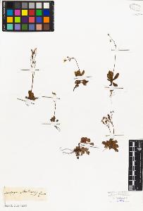 SW_BNB_s3010-08350_IMG-0000000001