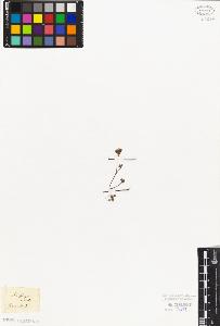 SW_BNB_s3010-08354_IMG-0000000001