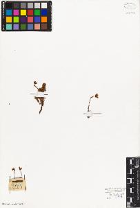 SW_BNB_s3010-08355_IMG-0000000001