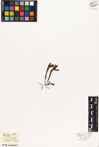 SW_BNB_s3010-08357_IMG-0000000001