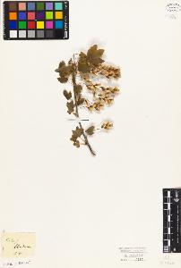 SW_BNB_s3010-08366_IMG-0000000001