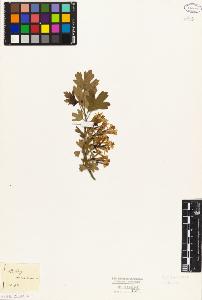 SW_BNB_s3010-08367_IMG-0000000001