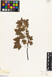 SW_BNB_s3010-08380_IMG-0000000001