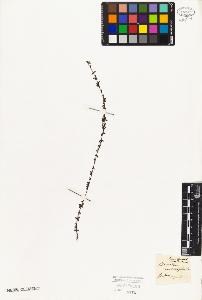 SW_BNB_s3010-08381_IMG-0000000001
