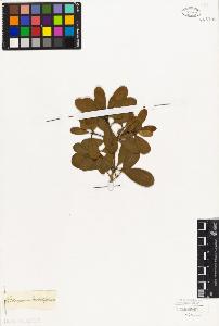 SW_BNB_s3010-08382_IMG-0000000001