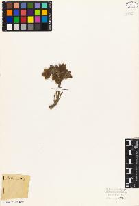 SW_BNB_s3010-08384_IMG-0000000001