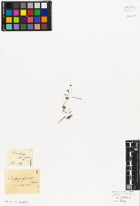 SW_BNB_s3010-08386_IMG-0000000001