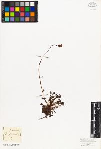 SW_BNB_s3010-08387_IMG-0000000001