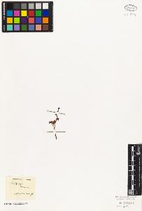 SW_BNB_s3010-08389_IMG-0000000001