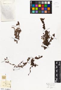 SW_BNB_s3010-08390_IMG-0000000001