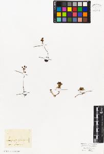 SW_BNB_s3010-08391_IMG-0000000001