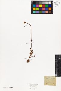 SW_BNB_s3010-08393_IMG-0000000001