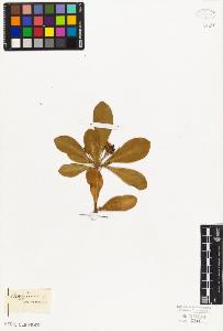 SW_BNB_s3010-08400_IMG-0000000001