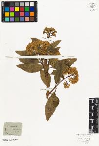 SW_BNB_s3010-08404_IMG-0000000001