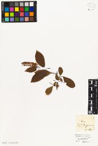 SW_BNB_s3010-08407_IMG-0000000001