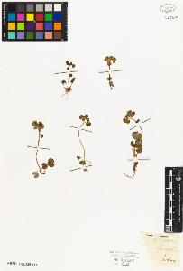 SW_BNB_s3010-08413_IMG-0000000001