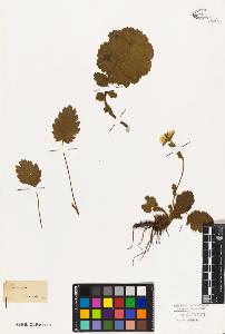 SW_BNB_s3010-08414_IMG-0000000001