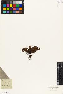 SW_BNB_s3010-08415_IMG-0000000001