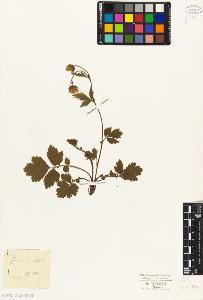 SW_BNB_s3010-08421_IMG-0000000001