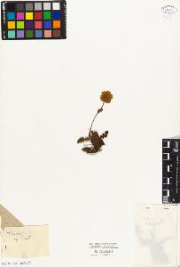 SW_BNB_s3010-08422_IMG-0000000001