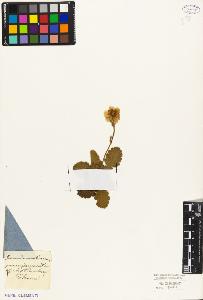 SW_BNB_s3010-08423_IMG-0000000001