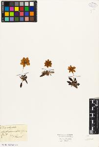 SW_BNB_s3010-08435_IMG-0000000001