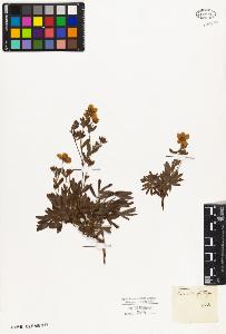 SW_BNB_s3010-08442_IMG-0000000001