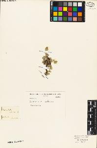 SW_BNB_s3010-08453_IMG-0000000001