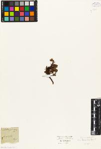 SW_BNB_s3010-08455_IMG-0000000001