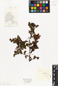 SW_BNB_s3010-08479_IMG-0000000001