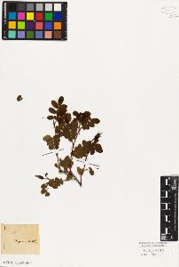 SW_BNB_s3010-08493_IMG-0000000001