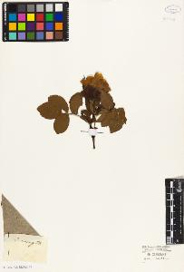 SW_BNB_s3010-08502_IMG-0000000001