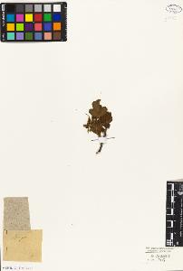 SW_BNB_s3010-08505_IMG-0000000001