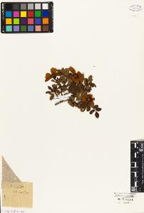 SW_BNB_s3010-08506_IMG-0000000001