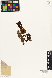SW_BNB_s3010-08507_IMG-0000000001