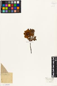 SW_BNB_s3010-08509_IMG-0000000001