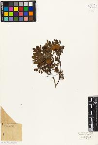 SW_BNB_s3010-08510_IMG-0000000001