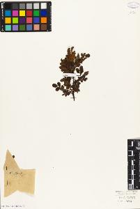 SW_BNB_s3010-08512_IMG-0000000001
