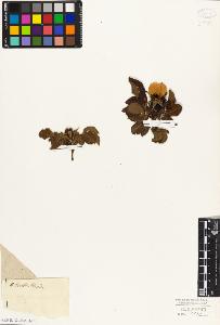 SW_BNB_s3010-08514_IMG-0000000001