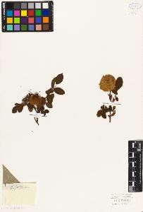 SW_BNB_s3010-08517_IMG-0000000001