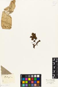 SW_BNB_s3010-08518_IMG-0000000001