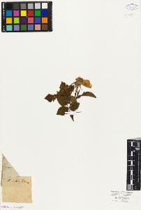 SW_BNB_s3010-08519_IMG-0000000001