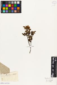 SW_BNB_s3010-08522_IMG-0000000001