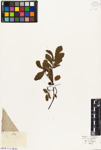 SW_BNB_s3010-08524_IMG-0000000001